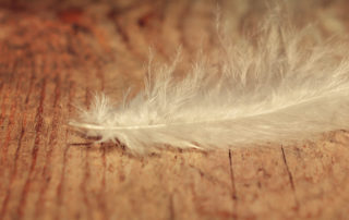 mantenere curato il tuo parquet